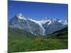 Wetterhorn and Schreckhorn Viewed from First in the Bernese Oberland, Switzerland, Europe-Hans Peter Merten-Mounted Photographic Print