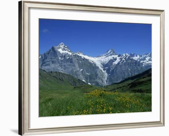 Wetterhorn and Schreckhorn Viewed from First in the Bernese Oberland, Switzerland, Europe-Hans Peter Merten-Framed Photographic Print