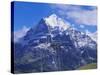 Wetterhorn Mountain, Grindelwald, Bernese Oberland, Switzerland-Hans Peter Merten-Stretched Canvas
