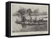 Weybridge Regatta, Robinson Crusoe Prize Boat-null-Framed Stretched Canvas