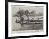 Weybridge Regatta, Robinson Crusoe Prize Boat-null-Framed Giclee Print