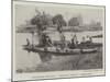 Weybridge Regatta, Robinson Crusoe Prize Boat-null-Mounted Giclee Print