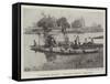 Weybridge Regatta, Robinson Crusoe Prize Boat-null-Framed Stretched Canvas