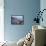 Weymouth, Dorset, England-Rob Cousins-Framed Stretched Canvas displayed on a wall