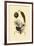Weymouth Pine, 1833-39-null-Framed Giclee Print