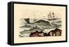 Whale, 1833-39-null-Framed Stretched Canvas