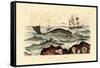 Whale, 1833-39-null-Framed Stretched Canvas