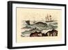 Whale, 1833-39-null-Framed Giclee Print