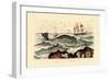 Whale, 1833-39-null-Framed Giclee Print