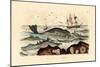 Whale, 1833-39-null-Mounted Giclee Print