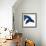 Whale 2-Kimberly Allen-Framed Art Print displayed on a wall