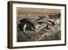 Whale and Orca by Alfred Edmund Brehm-Stefano Bianchetti-Framed Giclee Print