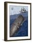 Whale and Ship 3F-Erin Clark-Framed Giclee Print