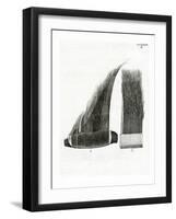 Whale Baleen Plates-null-Framed Giclee Print