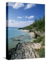 Whale Beach, Bermuda, Central America, Mid Atlantic-Harding Robert-Stretched Canvas