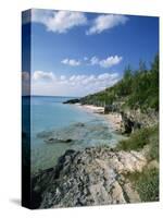 Whale Beach, Bermuda, Central America, Mid Atlantic-Harding Robert-Stretched Canvas