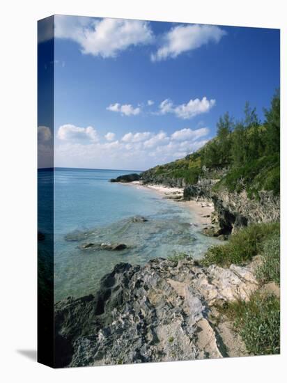 Whale Beach, Bermuda, Central America, Mid Atlantic-Harding Robert-Stretched Canvas