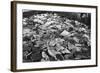 Whale Blubber, Magdalene Bay, Spitzbergen, Norway, 1929-null-Framed Giclee Print