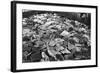 Whale Blubber, Magdalene Bay, Spitzbergen, Norway, 1929-null-Framed Giclee Print