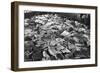 Whale Blubber, Magdalene Bay, Spitzbergen, Norway, 1929-null-Framed Giclee Print