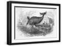 Black Frame