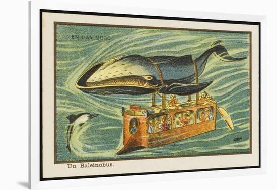 Whale-Bus-Jean Marc Cote-Framed Art Print