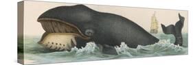 Whale, c.1870-null-Stretched Canvas