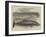 Whale Captured at the Grune-Point, Cumberland-null-Framed Giclee Print