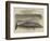 Whale Captured at the Grune-Point, Cumberland-null-Framed Giclee Print