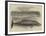 Whale Captured at the Grune-Point, Cumberland-null-Framed Giclee Print