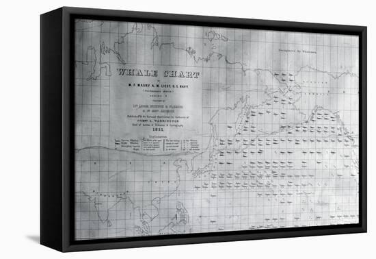 Whale Chart of the North Pacific, 1851-American School-Framed Stretched Canvas