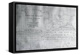Whale Chart of the North Pacific, 1851-American School-Framed Stretched Canvas