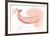 Whale - Coral - Coastal Icon-Lantern Press-Framed Art Print