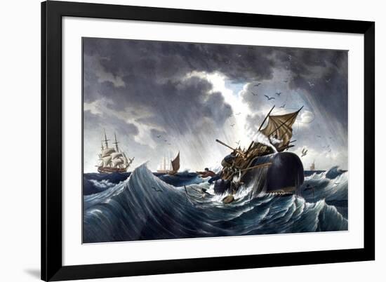 Whale Destroying Whaling Ship, C.1875-null-Framed Giclee Print