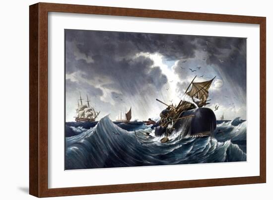 Whale Destroying Whaling Ship, C.1875-null-Framed Giclee Print