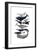 Whale Display I-Naomi McCavitt-Framed Art Print