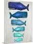 Whale Family Blue On White-Fab Funky-Mounted Art Print