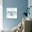 Whale Family II-Janet Tava-Mounted Art Print displayed on a wall