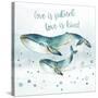 Whale Family II-Janet Tava-Stretched Canvas