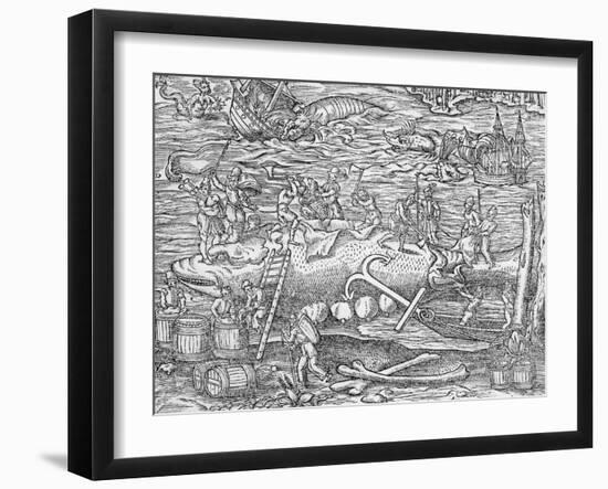 Whale Fishing from 'Cosmographie Universelle', by Andre De Thevet, 1575-null-Framed Giclee Print