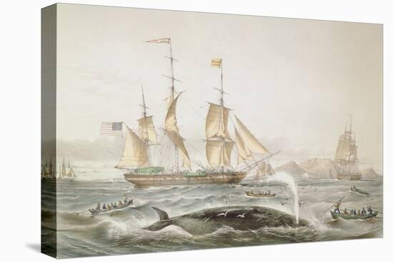 Whale Fishing, Published by E. Gambert and Co., 1853-Louis Lebreton-Stretched Canvas