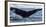 Whale in the ocean, Southern Ocean, Antarctic Peninsula, Antarctica-Panoramic Images-Framed Photographic Print