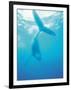Whale in Water-null-Framed Photographic Print