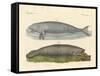 Whale-Like Animals-null-Framed Stretched Canvas