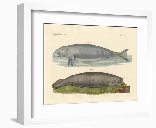 Whale-Like Animals-null-Framed Giclee Print