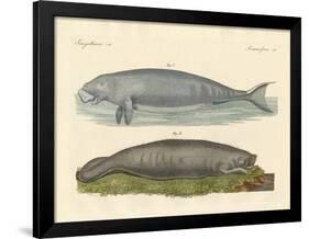 Whale-Like Animals-null-Framed Giclee Print