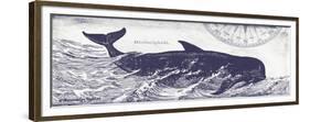 Whale on Cream I-Gwendolyn Babbitt-Framed Premium Giclee Print