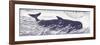 Whale on Cream I-Gwendolyn Babbitt-Framed Premium Giclee Print