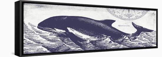 Whale on Cream II-Gwendolyn Babbitt-Framed Stretched Canvas