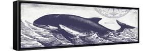 Whale on Cream II-Gwendolyn Babbitt-Framed Stretched Canvas